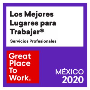 Servicios Profesionales
