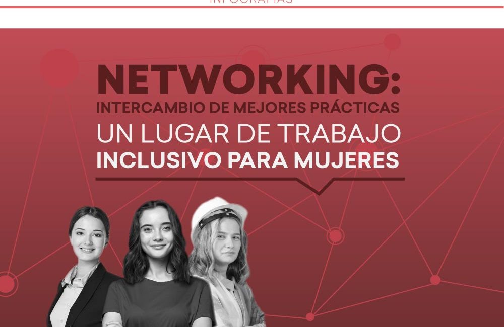 Infografía Networking