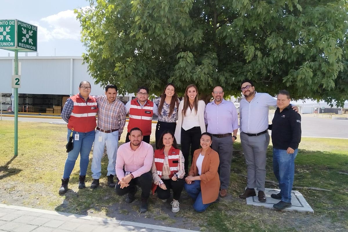 Dow_MX1_MX_686eb90c9129675598552a18_1