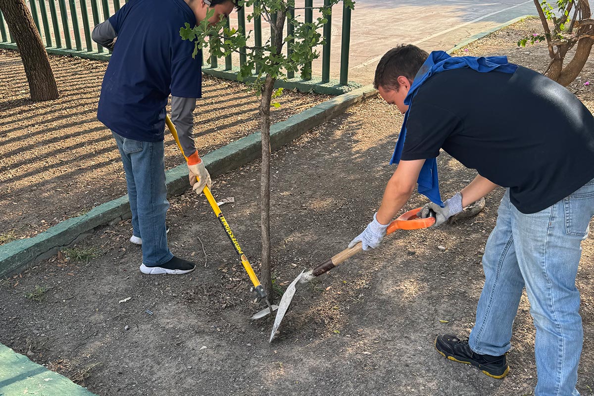 ESENCIAS-Y-MATERIALES-LOZMAR_MX1__6894cf9c8123c7024486a9a7_1