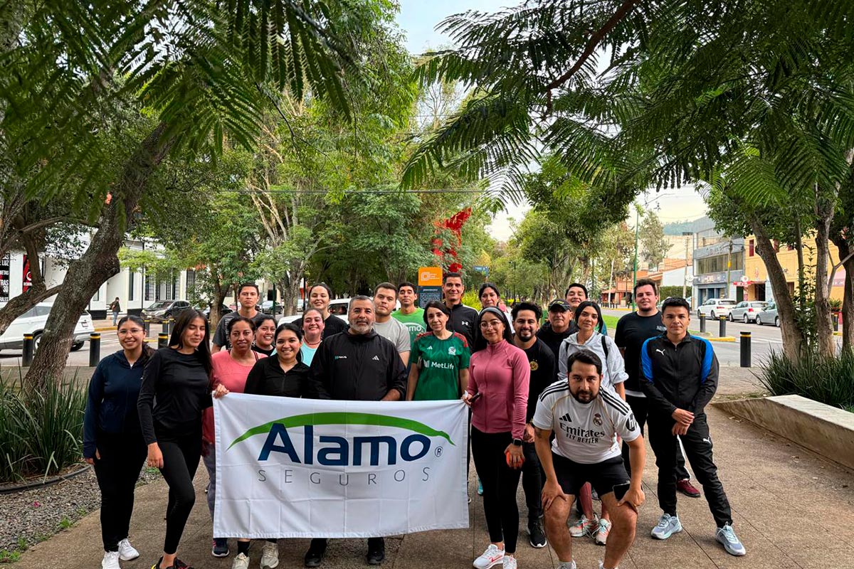 Alamo-Seguros_MX1__69136a2e6034f97397c1d72b_1