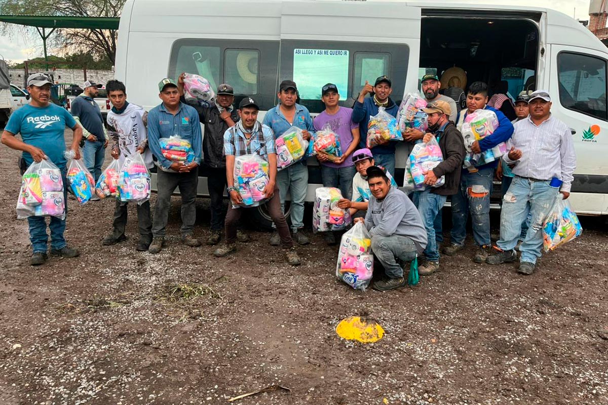 PROFOA_MX1__69136a2e6034f97397c1d72b_3