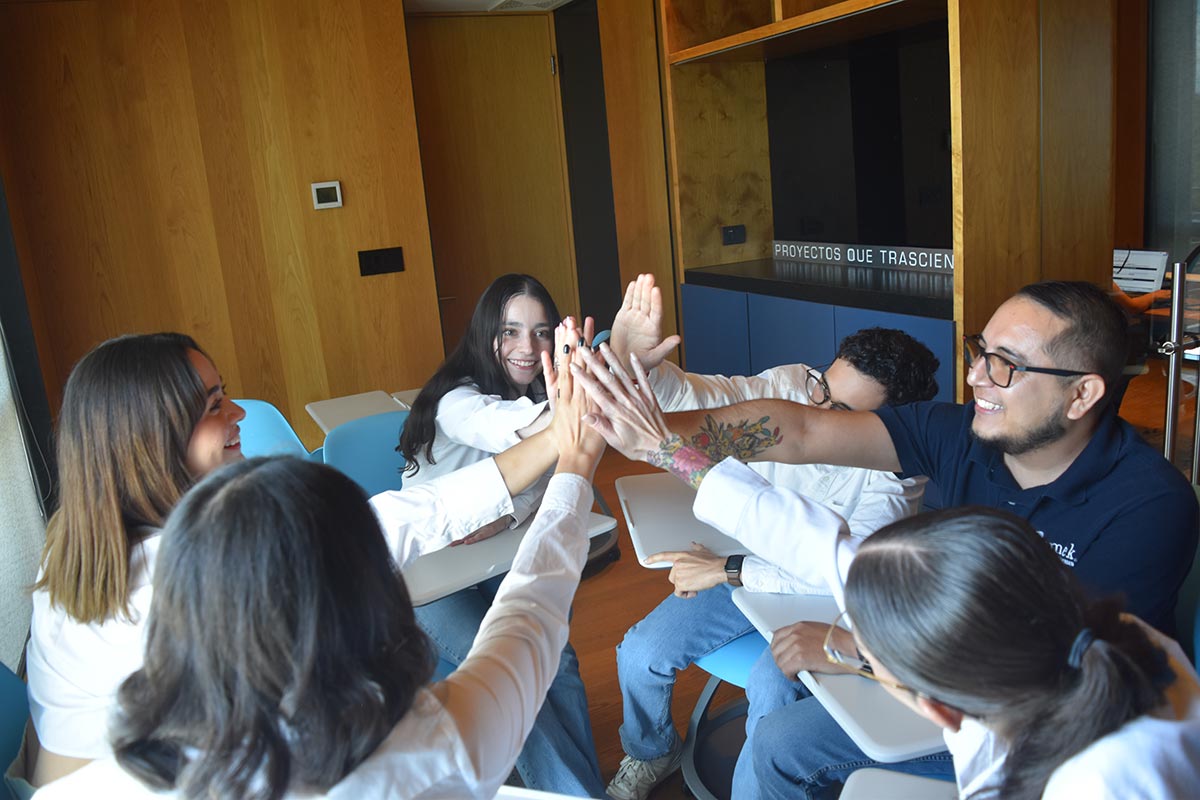 DEMEK_MX1__692df186df25b981bad94f35_1