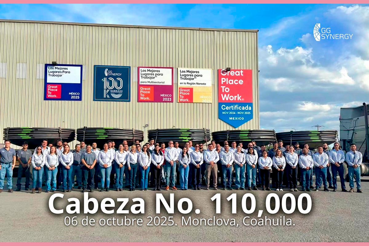 GG-SYNERGY_MX1__692df186df25b981bad94f35_1