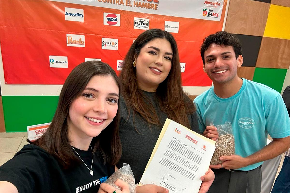 REACHMX_MX1__6894cf9c8123c7024486a9a7_1