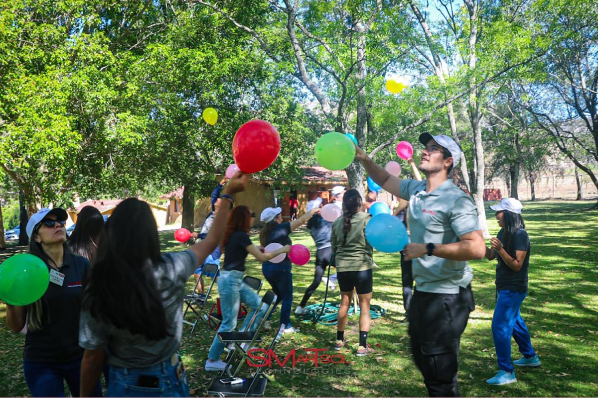 Smartsol-Techonologies_MX1__68b5c82c7757c3af0ca2a610_3