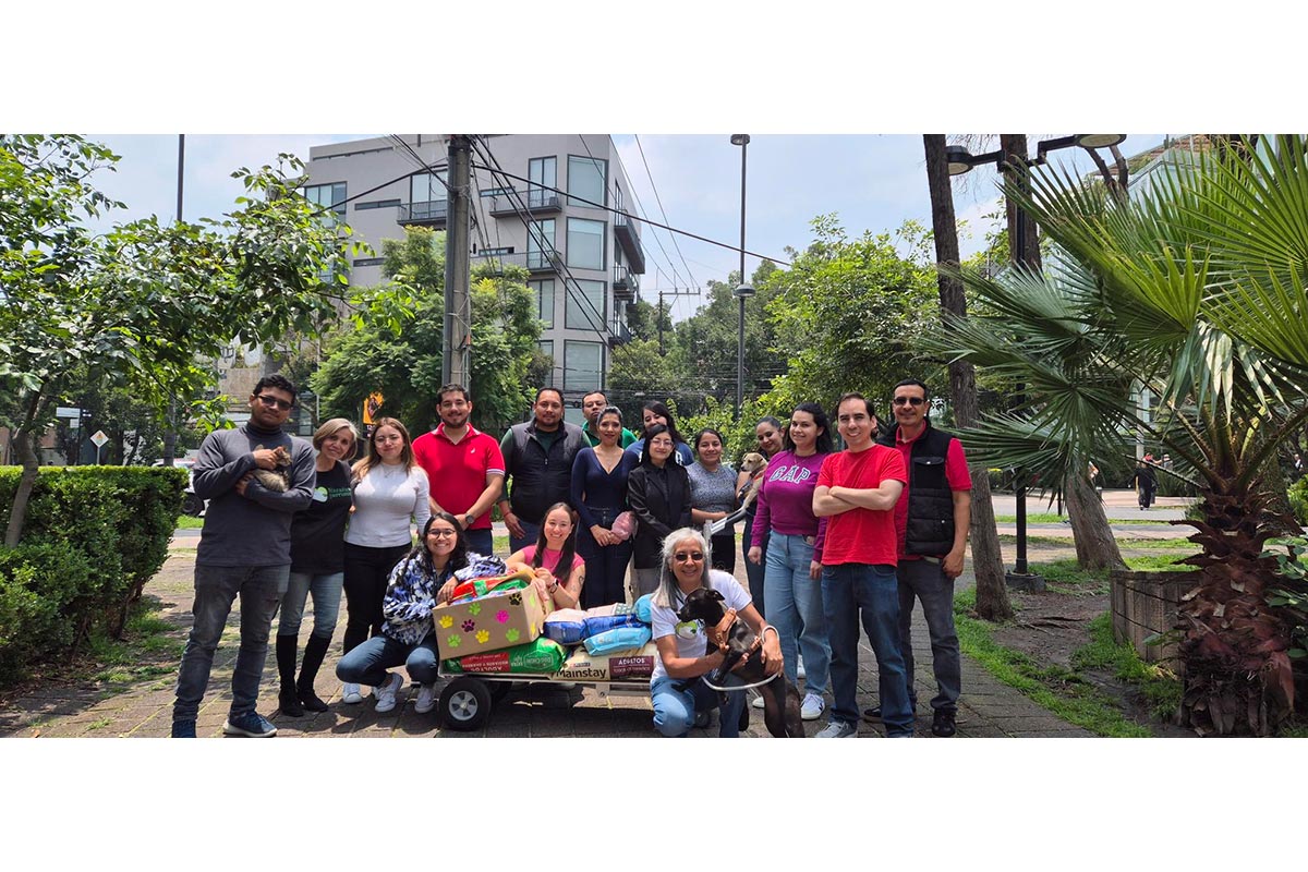 Thona-Seguros_MX1__696a7e3d475b03408e1b6a1d_1