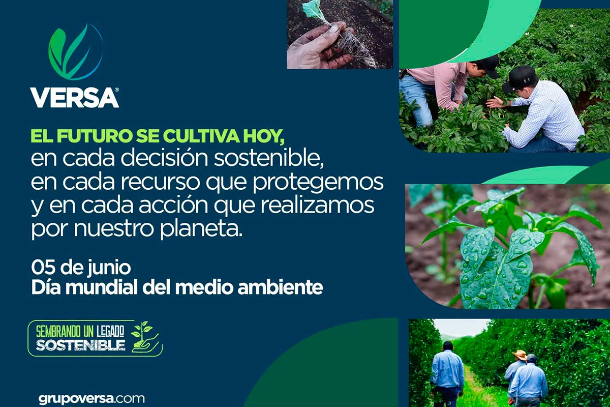 GRUPO-VERSA_MX1__6a6116bba15dd66e23c451a3_1