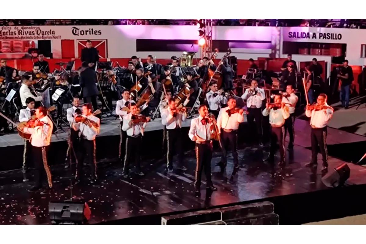 Grupo-Álica_MX1__6acd33df232720ae10b573ad_1